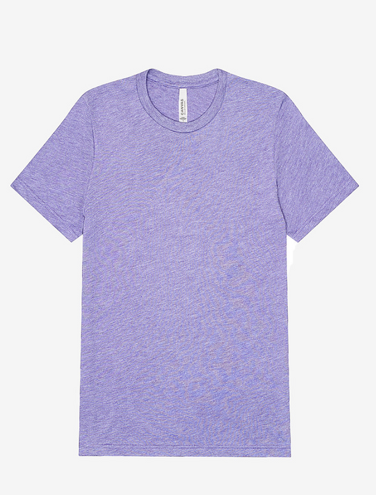 Heathered Bella Canvas Unisex Tri Blend T shirt (3143)